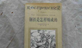 钢铁是怎样炼成的读后感300字 钢铁是怎样炼成的读后感300字免费