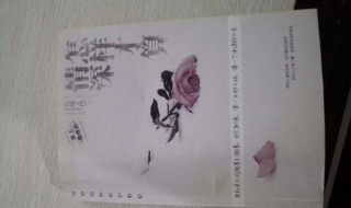 怎样才算情深 怎样才算情深讲的什么