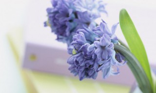 谷雨时节的诗（谷雨时节古诗词）