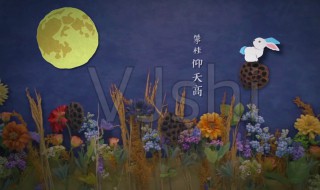 中秋节的诗句古诗大全（重阳节的诗句古诗大全）