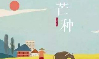 芒种是什么时候（2023年芒种是什么时候）