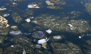 水污染的原因（水污染的原因有哪些?）