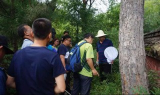 有害生物防治什么意思（有害生物防治怎么样）