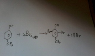 苯酚与溴水反应的方程式 苯酚与溴水反应的方程式及现象