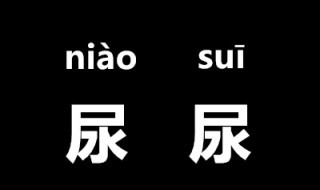 尿尿的正确读音 尿的拼音怎么读