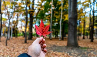 一年四季如何分几个月（一年四季怎么分几个月）