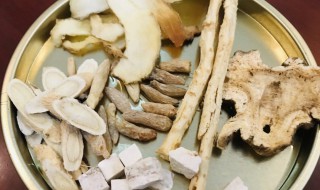 党参白术茯苓炙甘草的功效与作用（参苓白术丸的作用与功效）