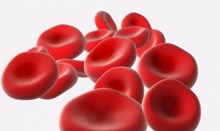 哺乳动物成熟红细胞特点是什么（哺乳动物成熟红细胞特点是什么意思）