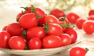 小西红柿品种有哪些（小西红柿品种有哪些图片）