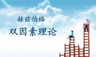 赫兹伯格的双因素理论是什么（赫兹伯格的双因素理论是什么谈谈你的看法）