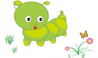 臭虫怎么杀 臭虫怎么消灭最彻底