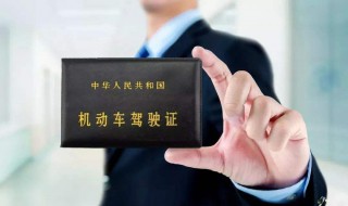 考驾照科目二考试内容（考驾照科目二考试内容图片）