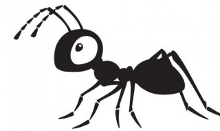 带翅膀的黑蚂蚁是什么 有翅膀的蚂蚁怎么消灭