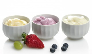 风味发酵乳是饮料还是酸奶 风味发酵乳和酸奶有什么区别