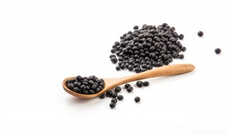 黑豆功效与作用及食用方法 黑豆的营养价值及功效与作用