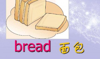 bread怎么读 bread怎么读音发音