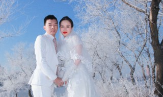 婚纱照电影剧情（婚纱照电影剧情分集介绍）