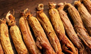 红参的功效及用途 红参的功效及用途是什么