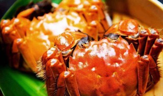 第一个吃螃蟹的人寓意 第一个吃螃蟹的人是什么精神