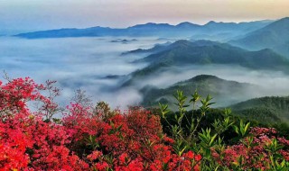 千里跃进大别山在哪 千里跃进大别山在哪一课历史