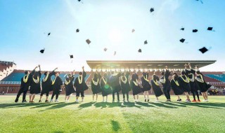 大学生毕业总结内容（大学生毕业总结范文）