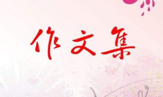 春节的作文300字（春节的作文300字优秀作文）