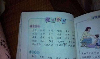 小学五年级语文下册教学计划内容