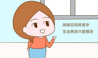 女性排卵期介绍 女性排卵期具体时间