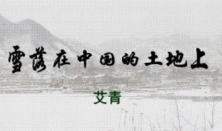 雪落在中国的土地上原文（艾青诗选雪落在中国的土地上原文）