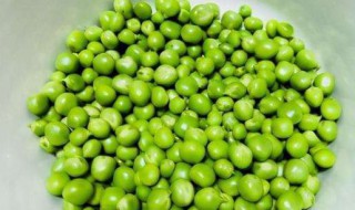 新鲜豌豆焯水几分钟（煮豌豆冷水下锅还是开水下锅）