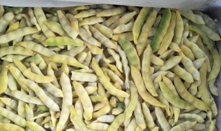 黄金钩豆角如何冷冻（黄金钩豆角如何冷冻储存）