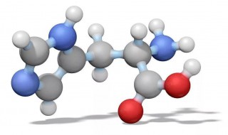 氨基酸的功效和作用（复方氨基酸的功效和作用）