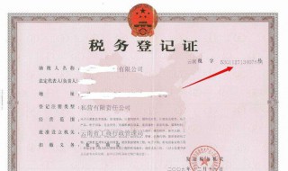 纳税人识别号在哪里（纳税人识别号在哪里能查到）