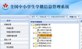 全国中小学生学籍系统介绍（全国中小学生学籍系统管理）