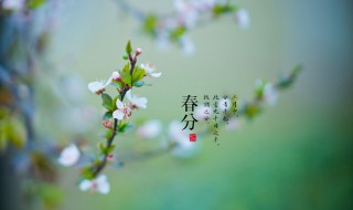 春分节气古诗有什么（春分节的古诗）