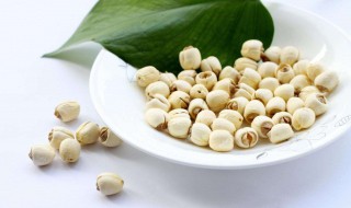 莲心的作用 莲心的作用与功效禁忌