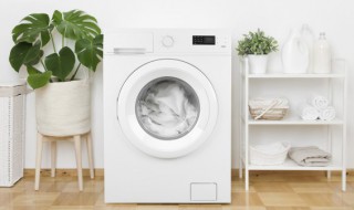 洗衣机运转时上面能放东西不能 洗衣机不能侧放