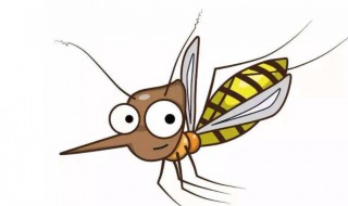 蚊子除了吸血还吃什么 打死一只蚊子判几年
