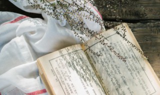 强词夺理的读音 强词夺理的读音拼音是怎样的