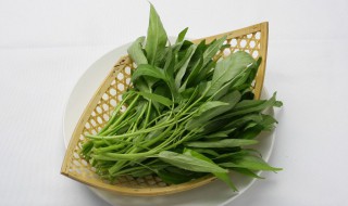 空心菜吃多了有什么坏处 空心菜为什么被称为毒中之王
