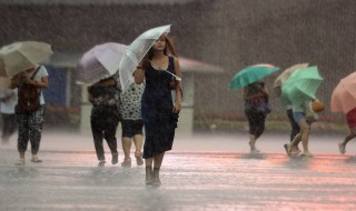 台风有什么天气特征（台风天气的主要特征）