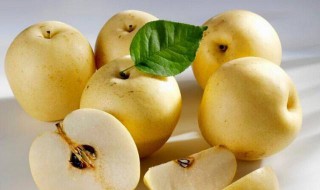 水晶梨的功效与作用 皇冠水晶梨的功效与作用