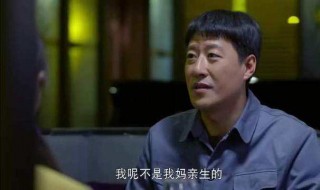 我的二哥二嫂剧情介绍（我的二哥二嫂剧情介绍|剧情简介）