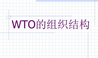 wto是哪个组织的称呼 wto属于什么组织