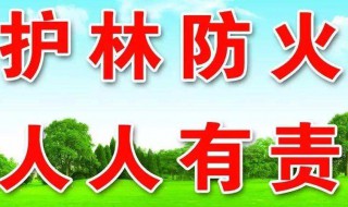 森林防火作文（森林防火作文400字）