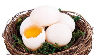 鸽子蛋孕妇吃了有什么好处 鸽子蛋的营养价值及功效