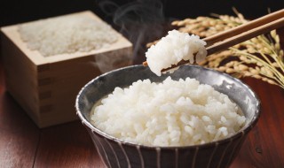 高压锅蒸米饭的做法 高压锅蒸米饭的做法大全