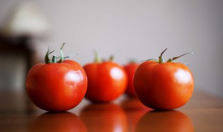 西红柿番茄怎么种植能高产 西红柿种植小妙招