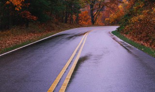 道路千万条下一句 世上道路千万条下一句