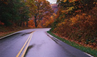一路平安打一城市 真是一路平安打一城市